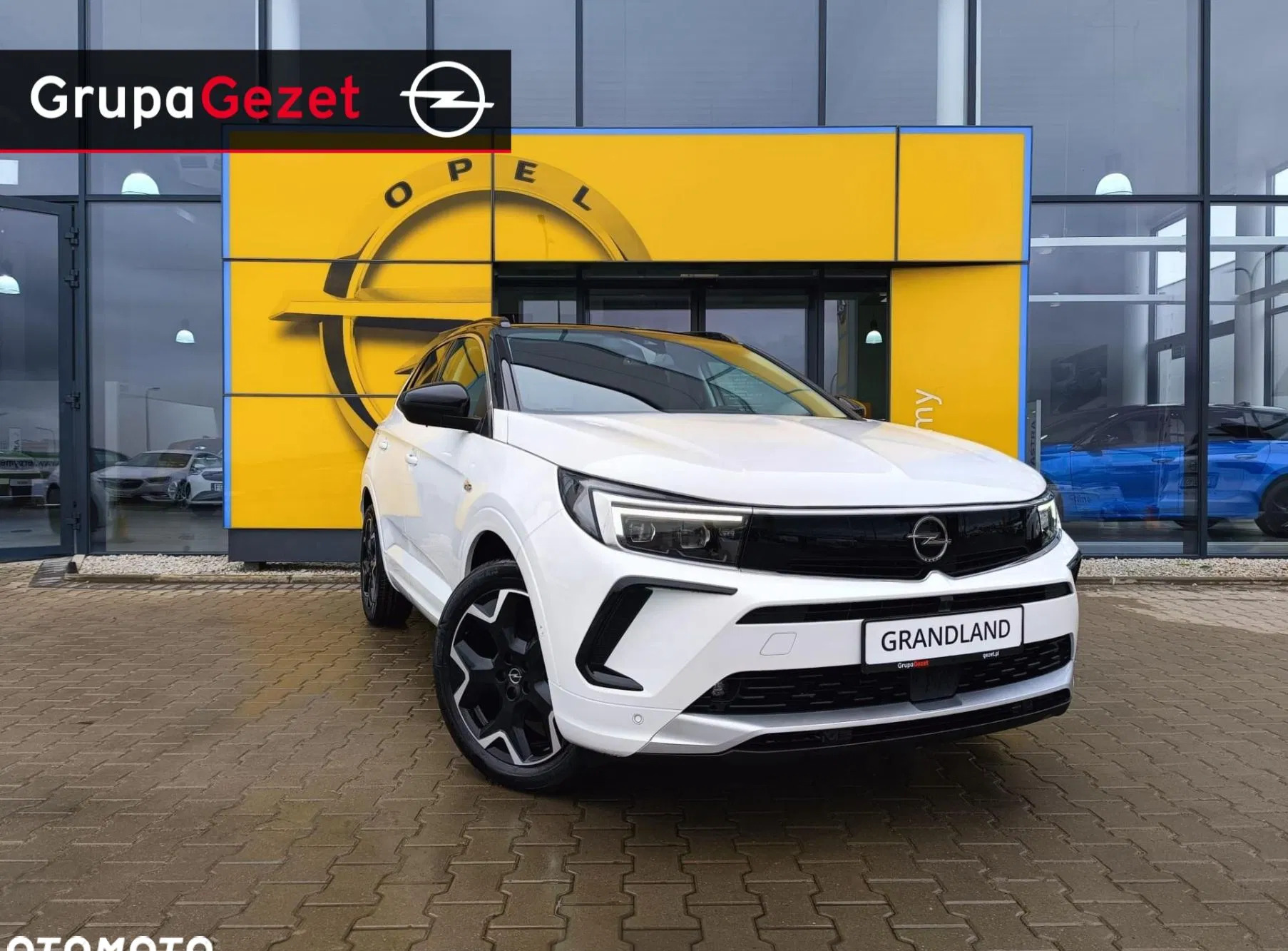 zachodniopomorskie Opel Grandland cena 135990 przebieg: 5, rok produkcji 2024 z Tarczyn